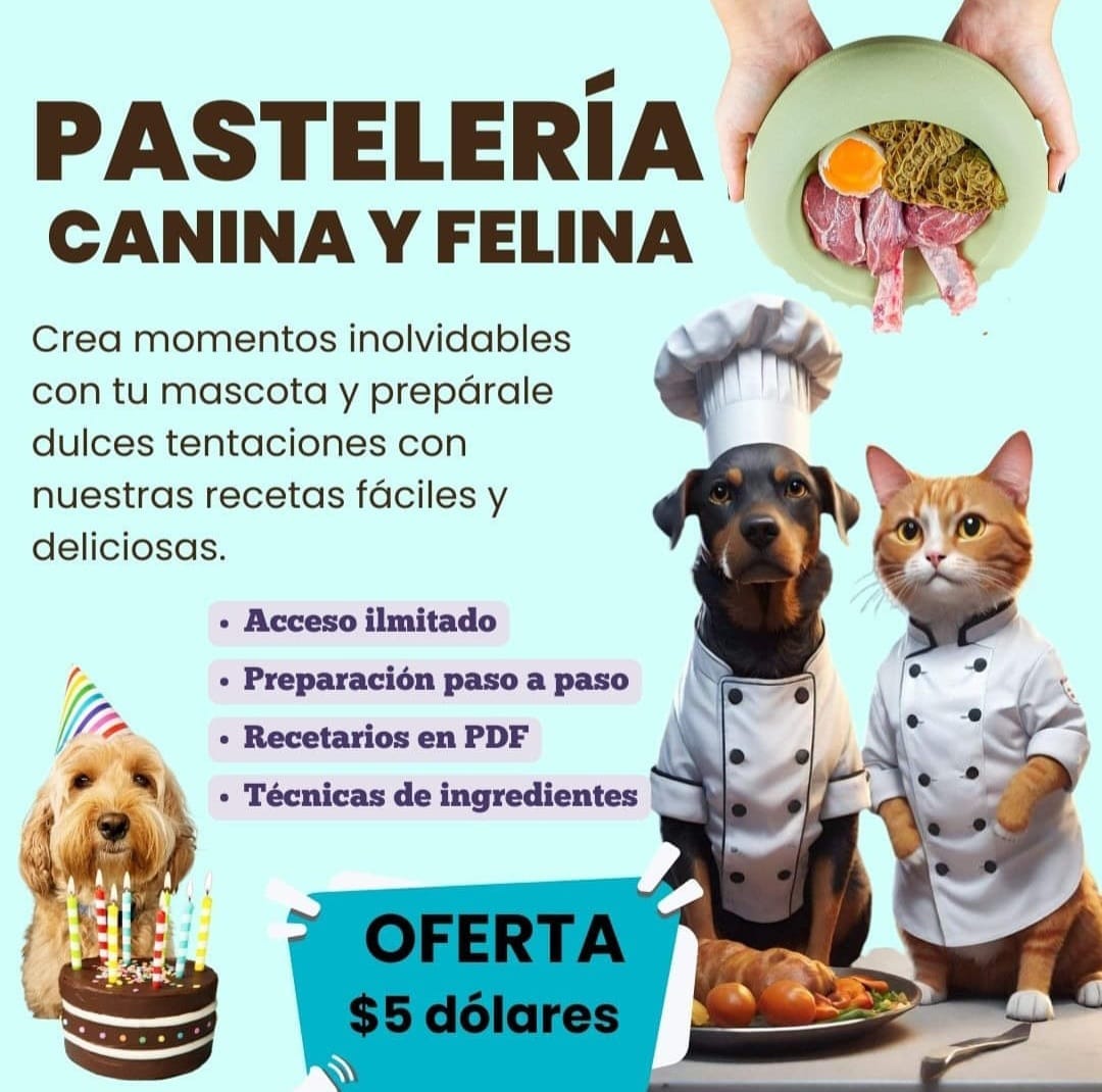 Cursos online